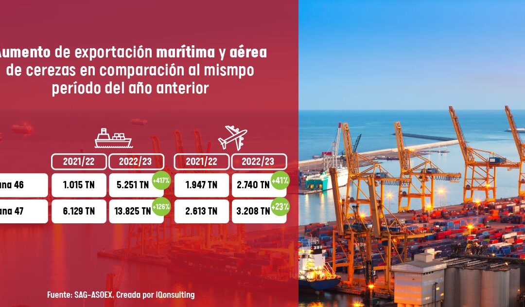 Increase in maritime and air export of cherries compared to the period of the previous year