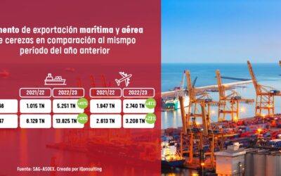 Increase in maritime and air export of cherries compared to the period of the previous year